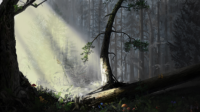 dark-forest-light-and-shadow